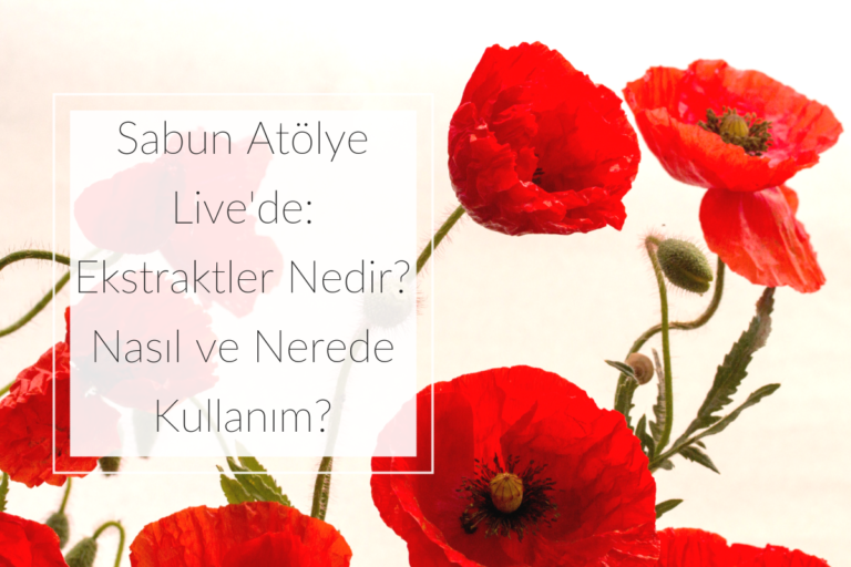 Ekstraktlar nedir, nasıl ve nerde kullanabilirim? | SA Live B3