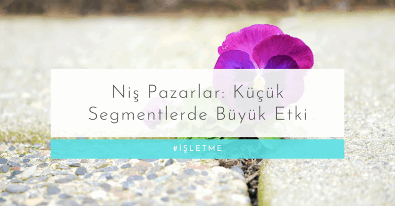 Niş Pazarlar: Küçük Segmentlerde Büyük Etki